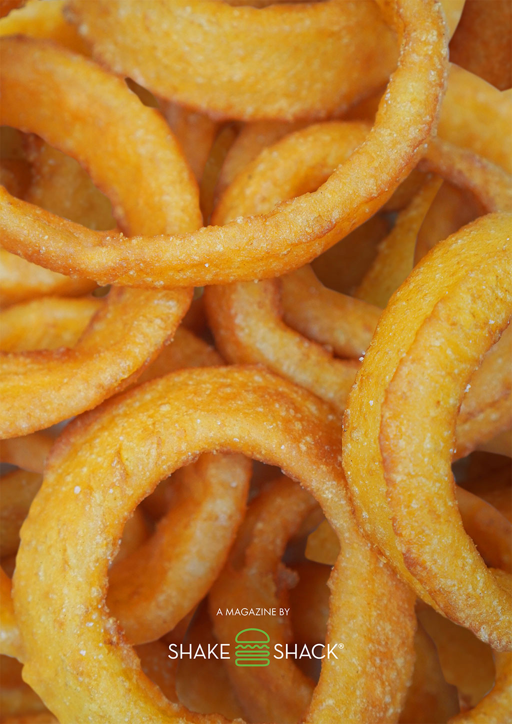 French-Onion-Magazine-Web-cover